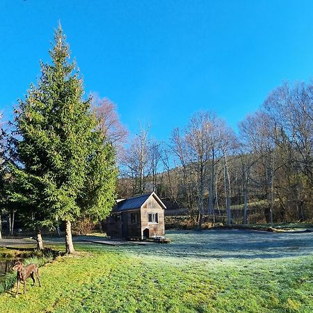 Insolite Tiny House Serenite Bien Etre Ban-sur-Meurthe-Clefcy Екстер'єр фото