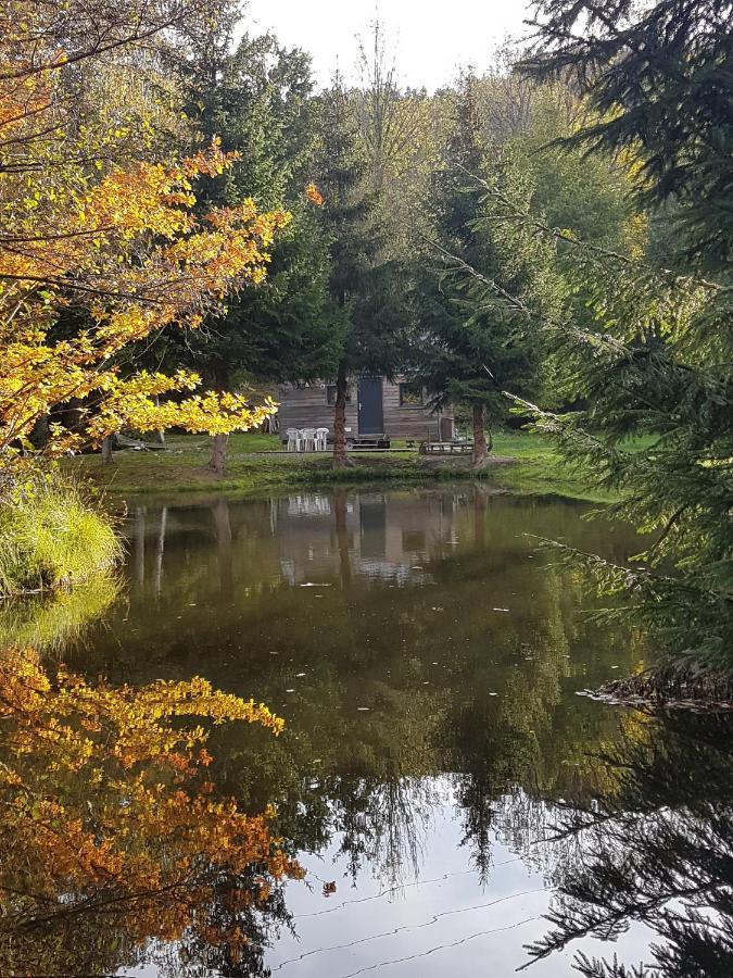 Insolite Tiny House Serenite Bien Etre Ban-sur-Meurthe-Clefcy Екстер'єр фото
