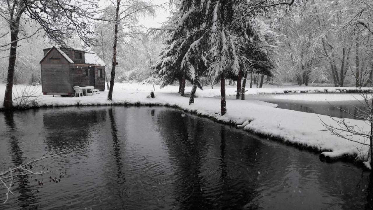 Insolite Tiny House Serenite Bien Etre Ban-sur-Meurthe-Clefcy Екстер'єр фото