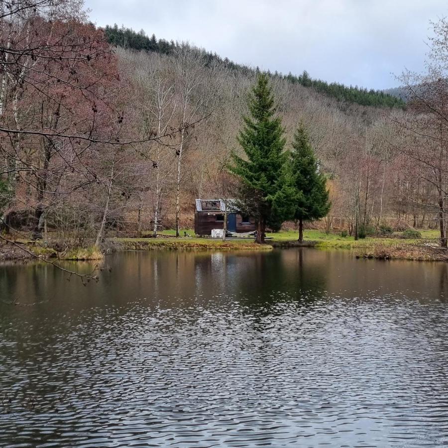 Insolite Tiny House Serenite Bien Etre Ban-sur-Meurthe-Clefcy Екстер'єр фото